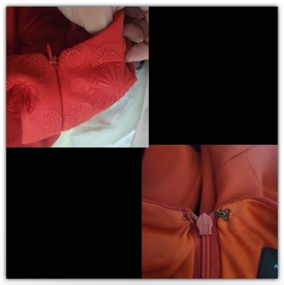 Tahari Authur S Levine embroidered design size 10P - Picture 4 of 6